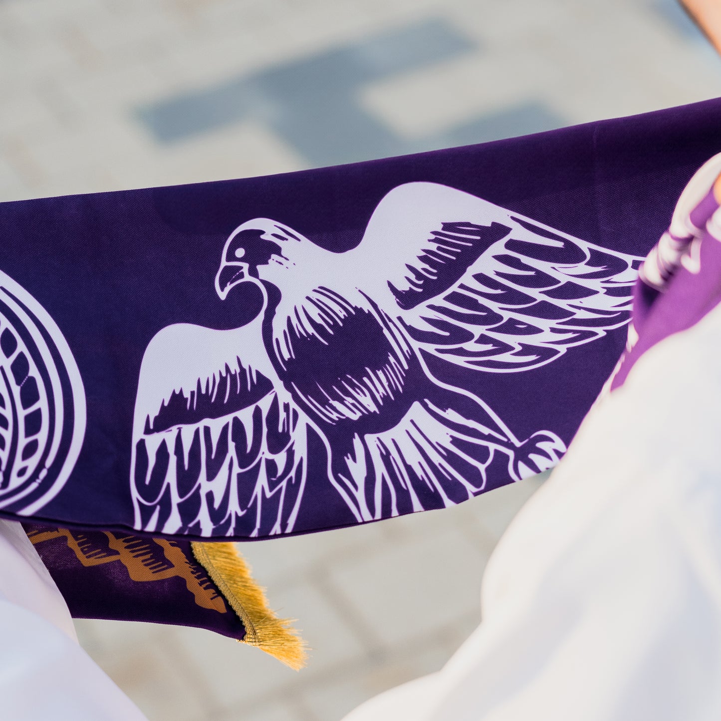 The Royal Purple | الزعيم العيناوي
