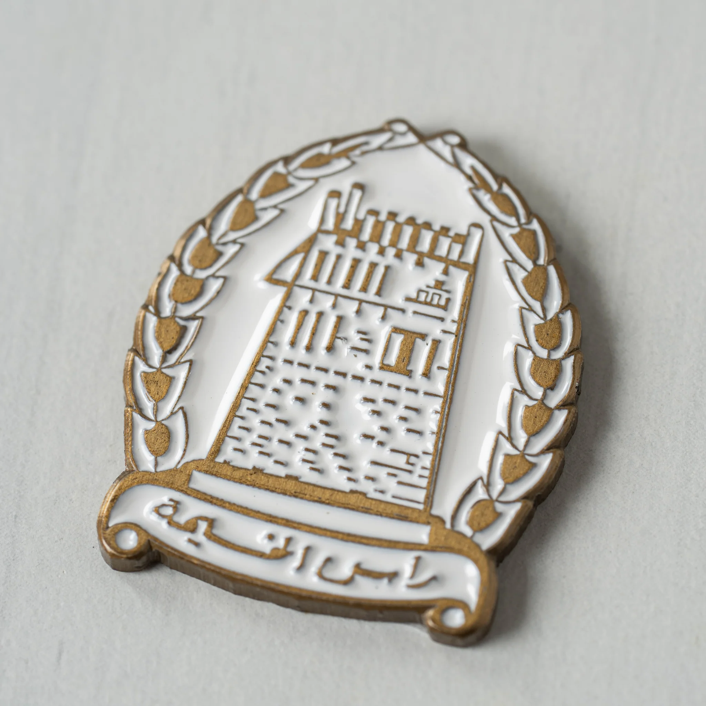 شعار رأس الخيمة - RAK Logo